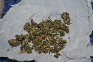 Det. Miacatlán