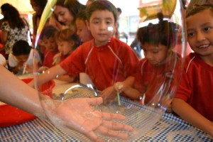 JORNADA DE CIENCIA (1)