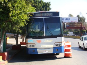 autobús foto 1 (1)