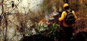 SDS_INCENDIOS TEPOZTLAN (1)