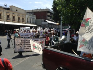 MANIFESTACIÓN DE CAMPESINOS