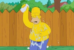 EL ICE BUCKET CHALLENGE LLEGA A SPRINGFIELD