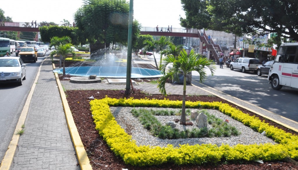 Aspectos de las Jardinera de la Avenida Plan de Ayala Frete al Seguro ( IMSS ) (3)