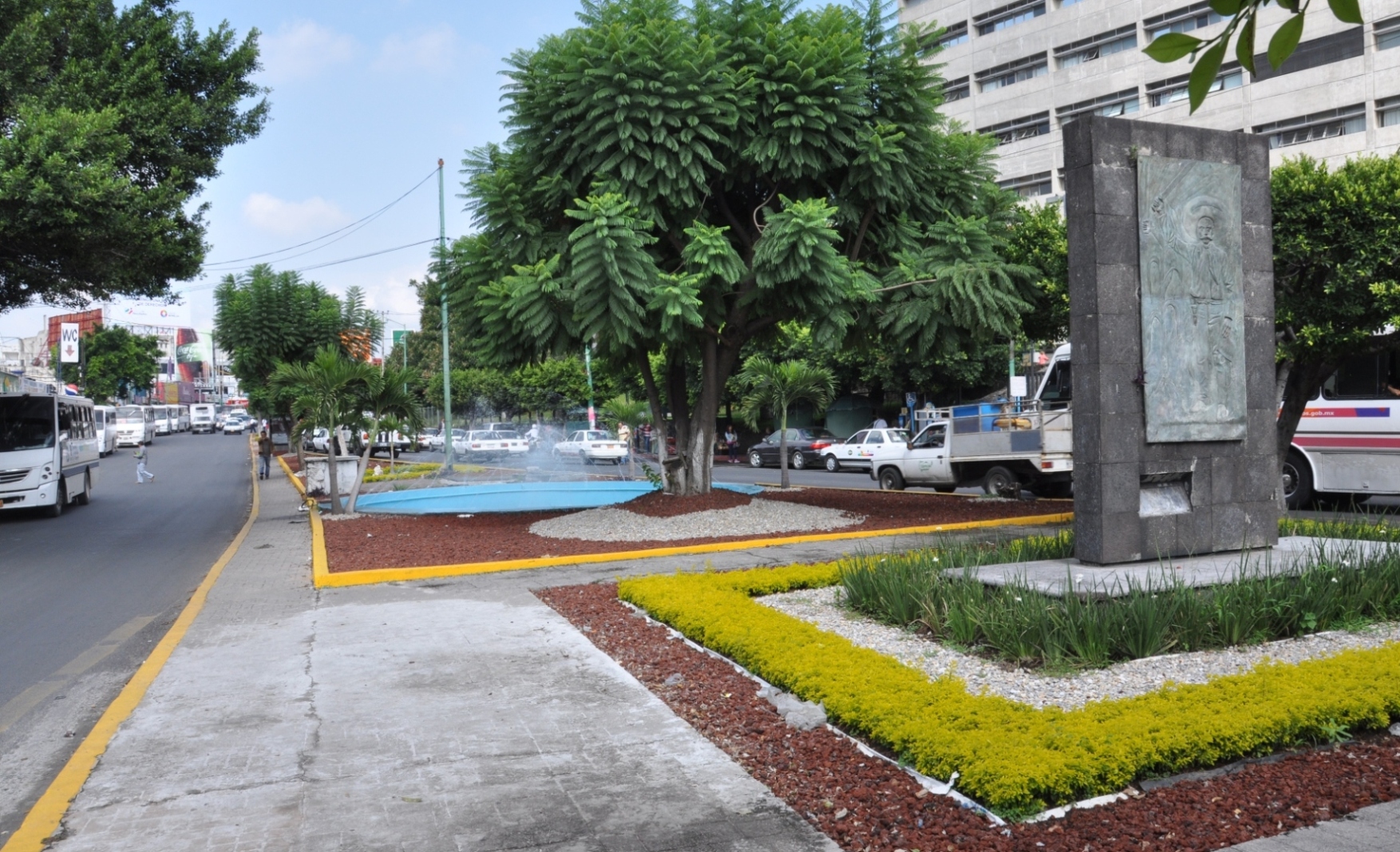 Aspectos de las Jardinera de la Avenida Plan de Ayala Frete al Seguro ( IMSS ) (5)