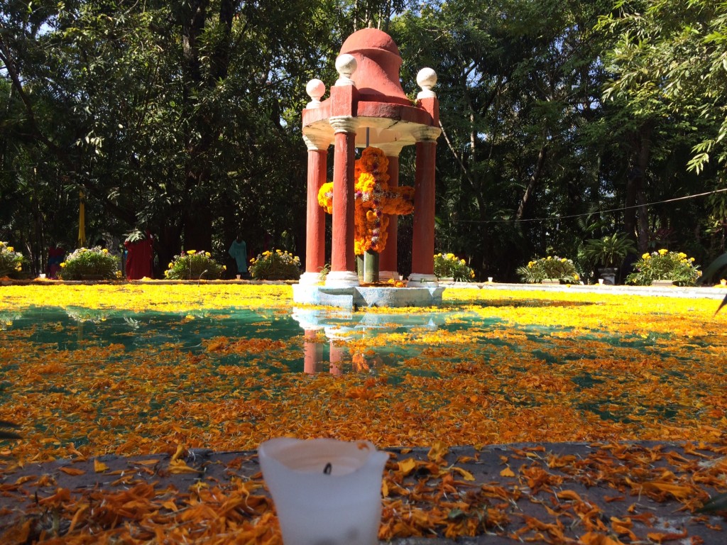 DIA DE MUERTOS JARDIN BORDA (2)