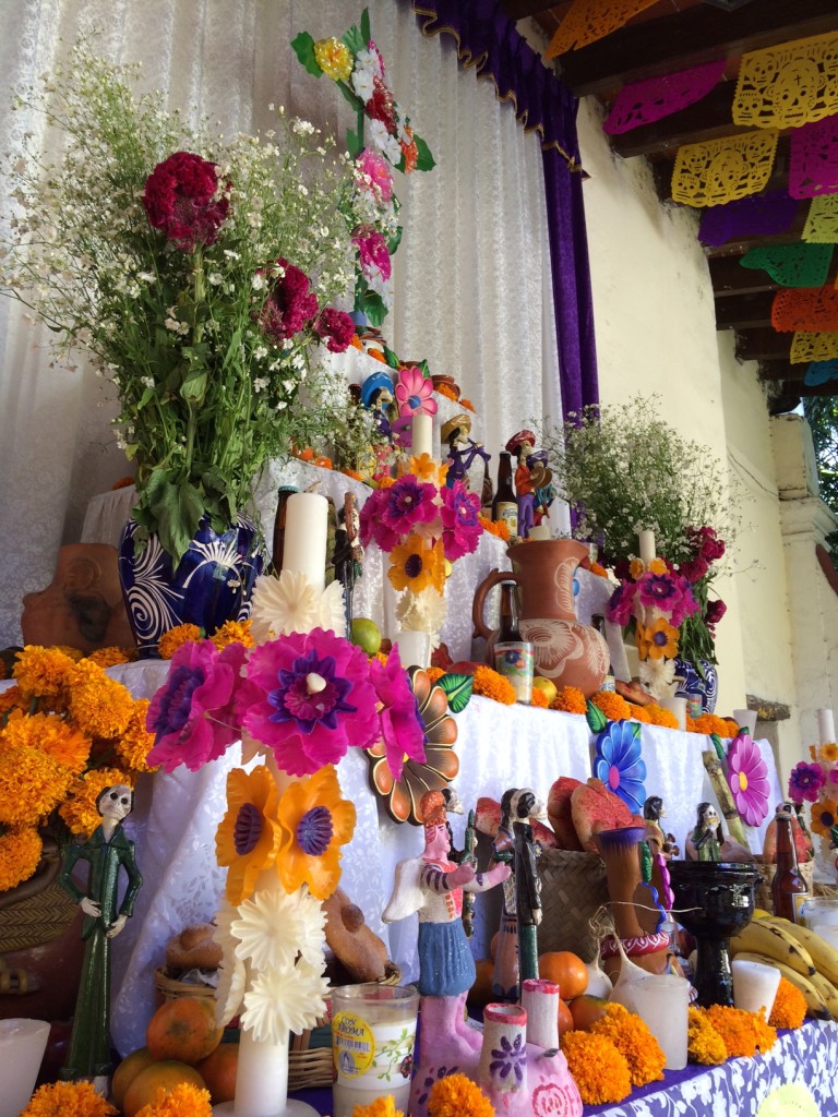 DIA DE MUERTOS JARDIN BORDA (3)