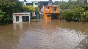 RÍO YAUTEPEC