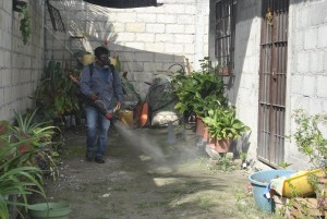DENGUE (3)