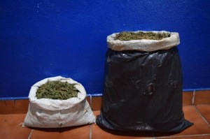 MARIHUANA PAREJA