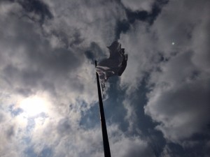 la foto 3 (3)