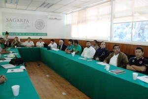 SDS COMITE ESTATAL DE INCIENDIOS FORESTALES (3)