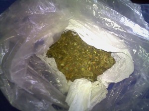 Detuvieron a tres personas por posesión de  marihuana en Jojutla, y Cuautla. (6)