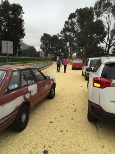 accidente México-Cuernavaca