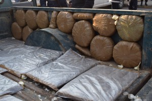 DECOMISA MANDO ÚNICO YECAPIXTLA 56 KILOS DE MARIHUANA (3)