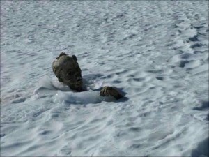 Descubren un segundo cuerpo momificado en el Pico de Orizaba