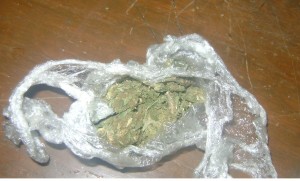 Detienen a defeño con varios gramos de marihuana  (1)