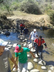 rescate cerro del jumil xochitepec 2