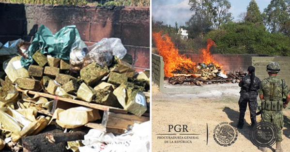 INCINERA PGR MÁS DE 117 KILOS DE MARIHUANA Y 11 KILOS DE GOMA DE OPIO EN MORELOS 1