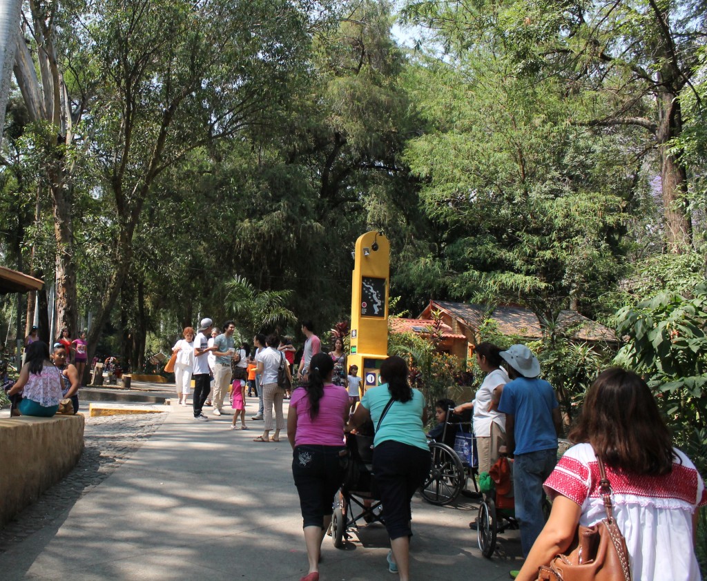 SDS-PARQUE CHAPULTEPEC (2)