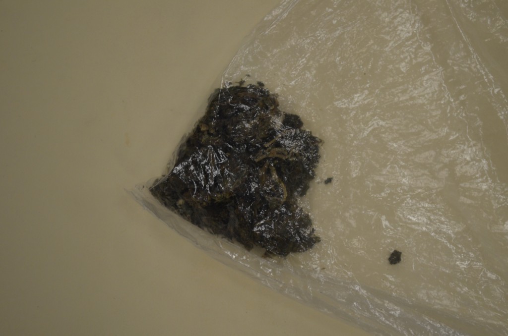 MARIHUANA (1)