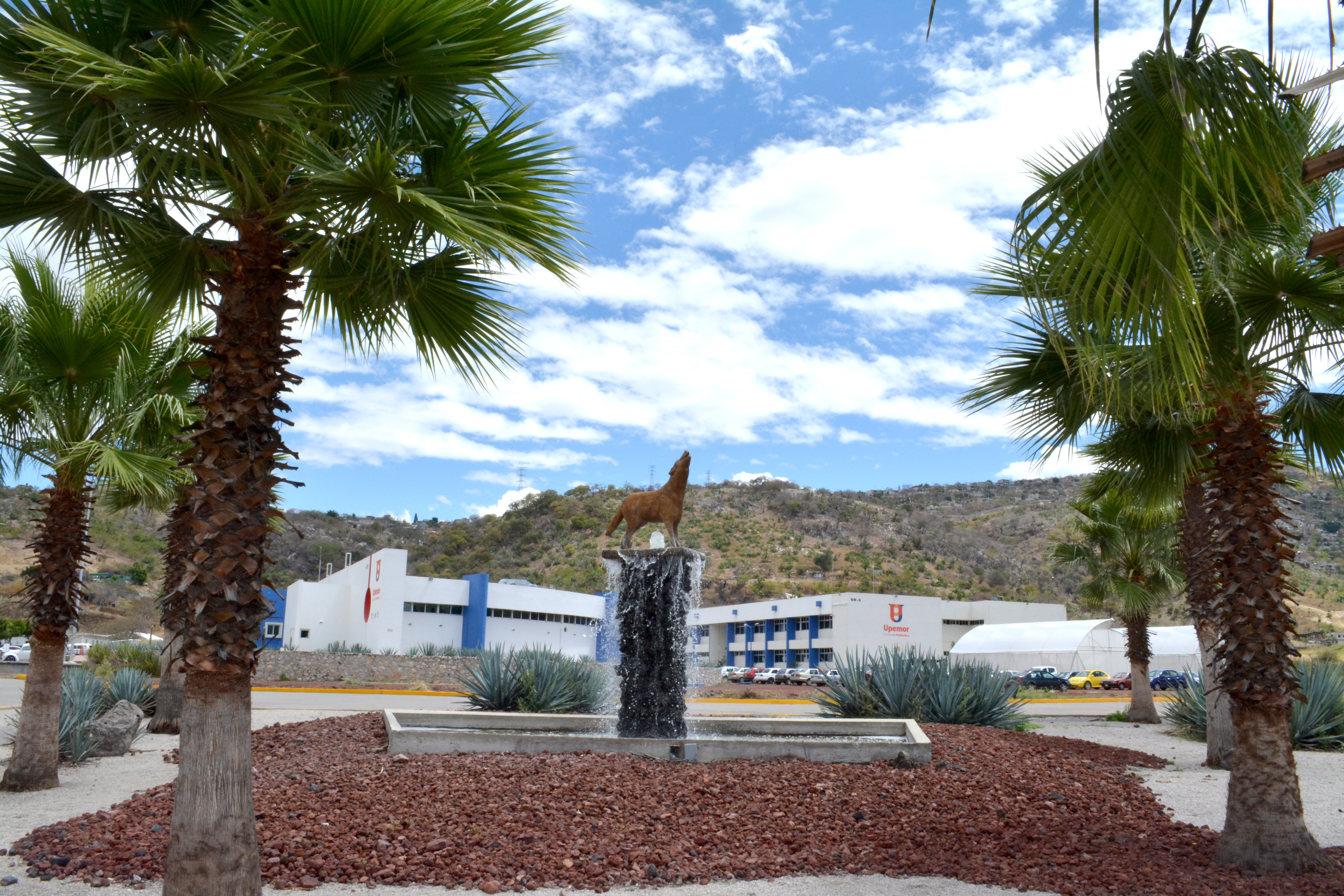 Dejan chefs el sabor de Morelos en Guanajuato Zona Centro Noticias