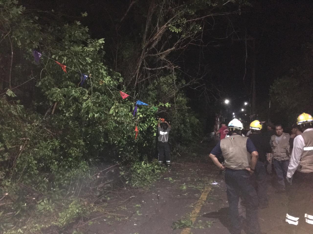 Atiende protección civil daños por lluvia