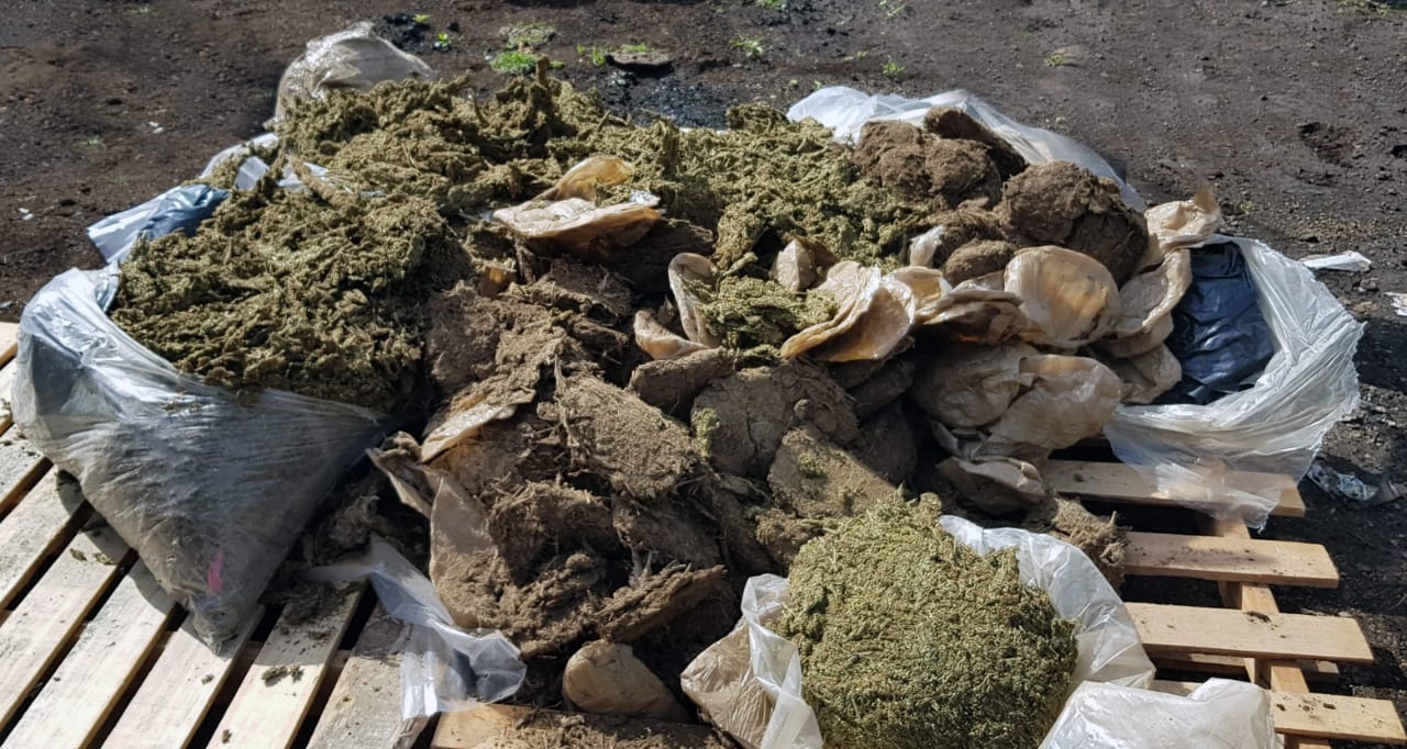 Incineran diversas drogas y objetos del delito en el campo de tiro en ...