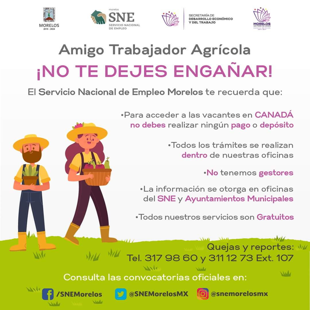 Llaman A Evitar Ser Víctima De Fraudes Por Supuestas Empresas Que Llaman A Evitar Ser Víctima De Fraudes Por Supuestas Empresas Que