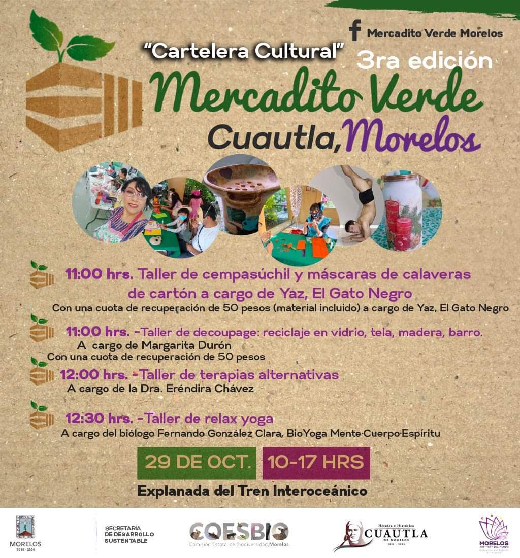 Invitan a disfrutar la tercera edición del mercadito verde en Cuautla –  Noticias de Cuautla