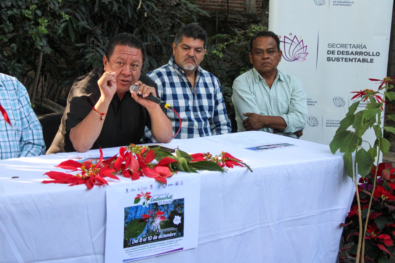 Anuncian primer Festival de la Flor de Nochebuena Silvestre «Cuetlaxochitl»  – Zona Centro Noticias